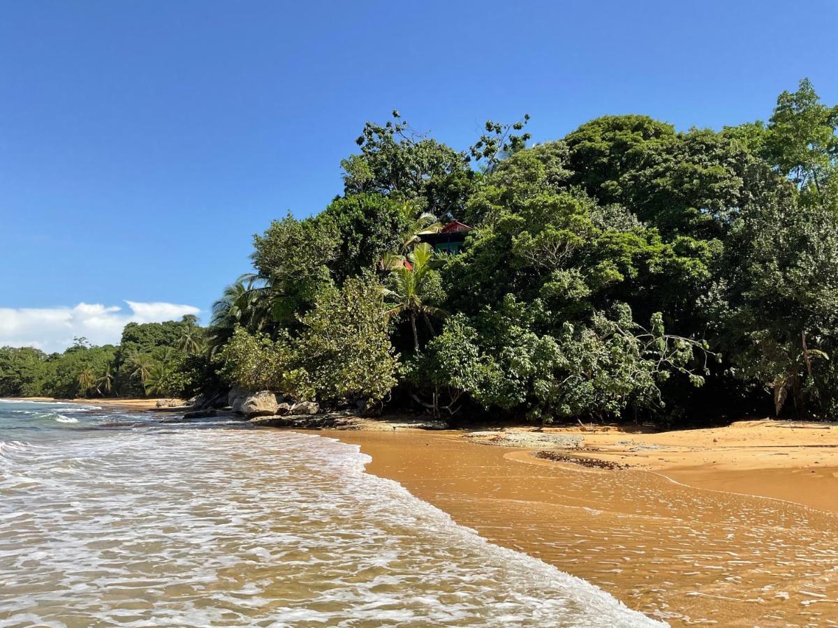 Tesoro Escondido Ecolodge Cabinas Bocas Town Ngoại thất bức ảnh