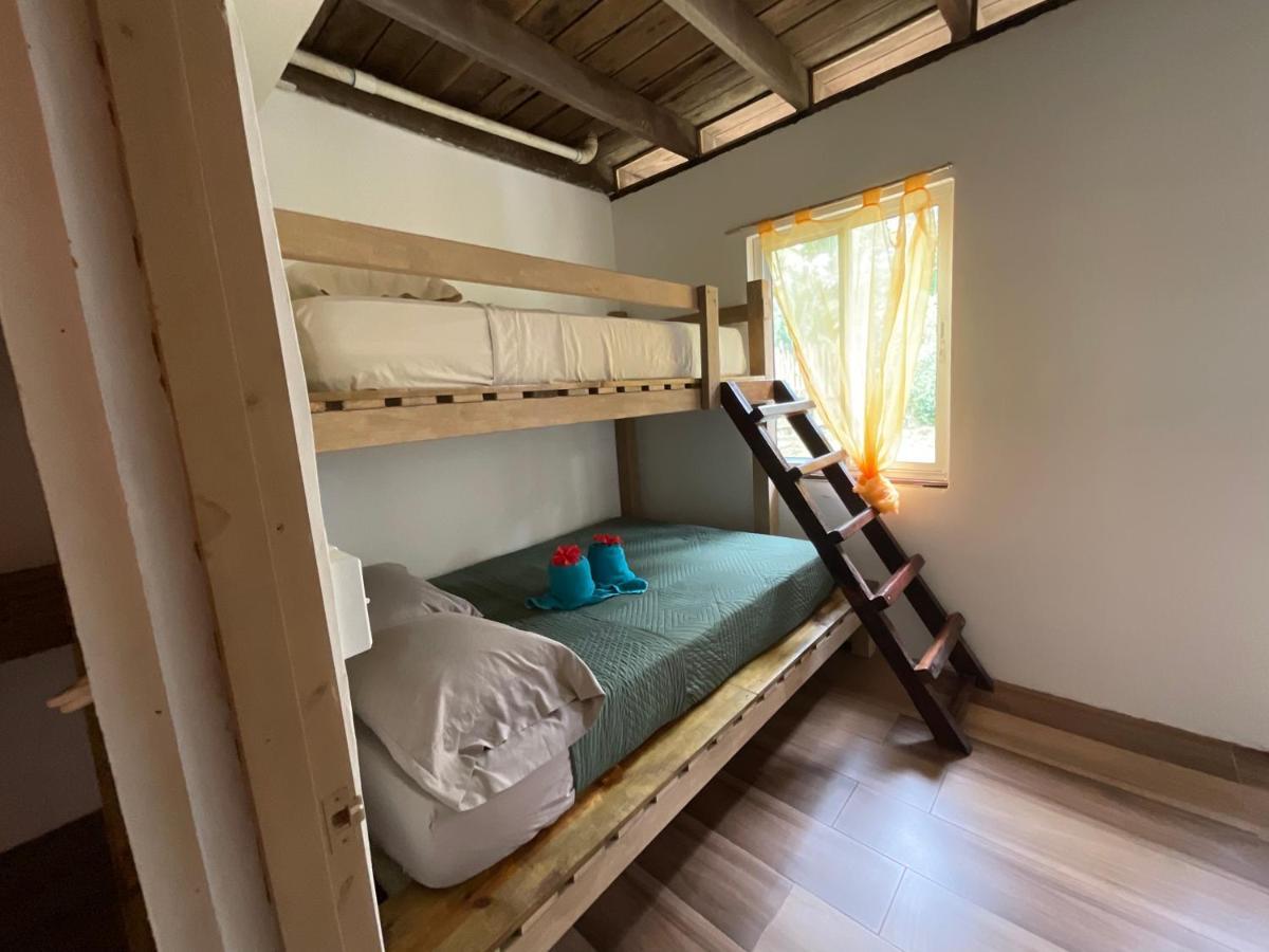 Tesoro Escondido Ecolodge Cabinas Bocas Town Ngoại thất bức ảnh