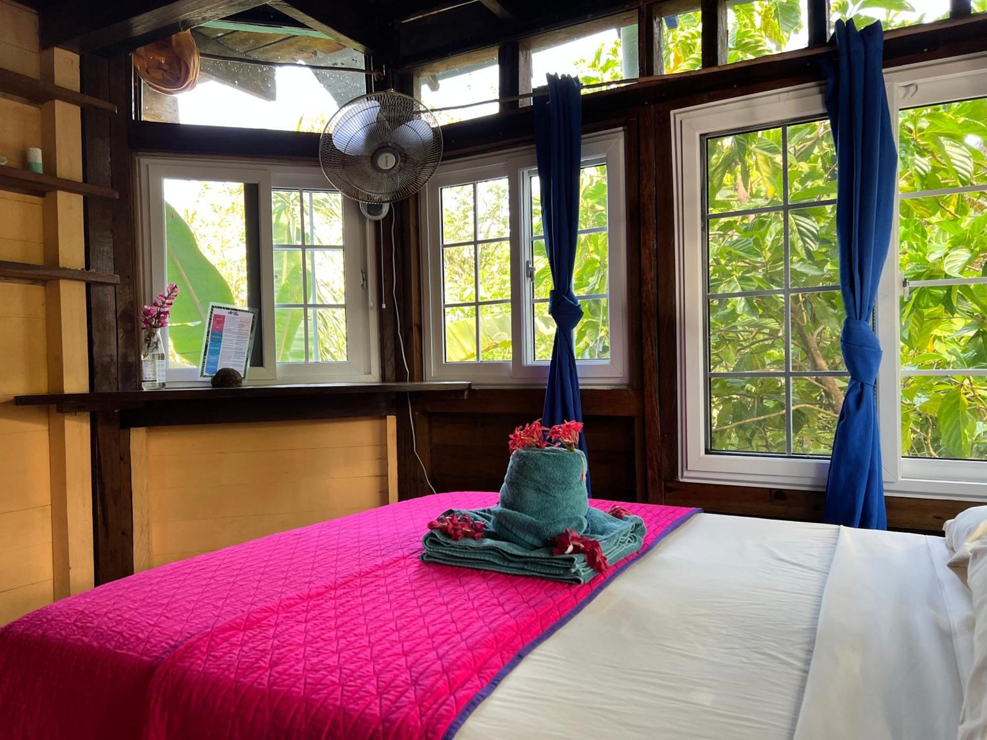 Tesoro Escondido Ecolodge Cabinas Bocas Town Phòng bức ảnh